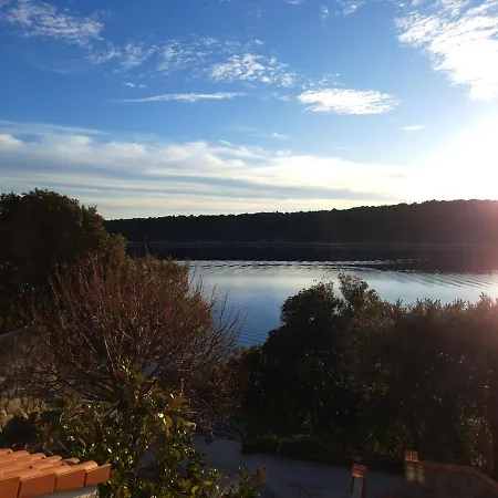 Vidas Apartman Palit