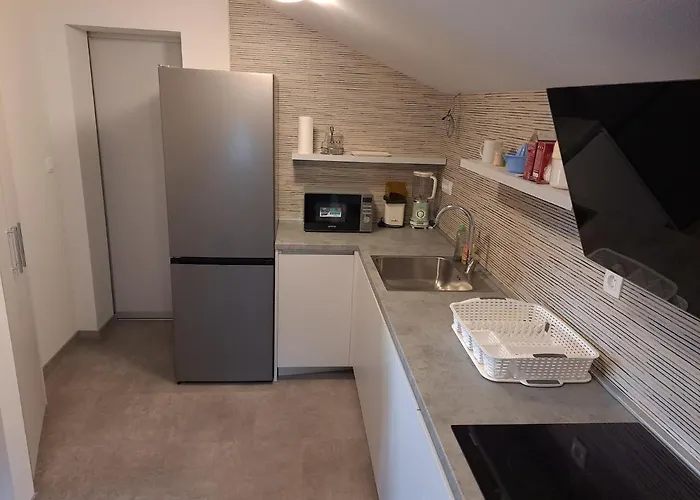 Vidas Apartament Palit